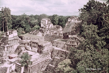 tikal 6