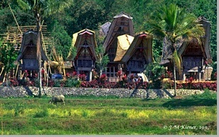 village_intro