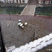 conteneurs sous la neige de mars